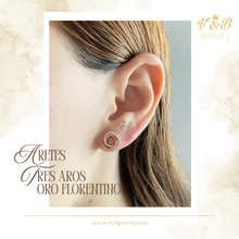 Cargar imagen en el visor de la galería, Aretes Aros
