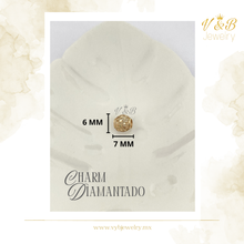 Cargar imagen en el visor de la galería, Charm Varios - Dije para Pulseras Estilo Pandora
