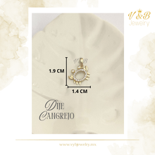 Cargar imagen en el visor de la galería, Dije Cangrejo

