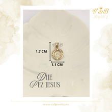 Cargar imagen en el visor de la galería, Dije Medalla Pez Jesús
